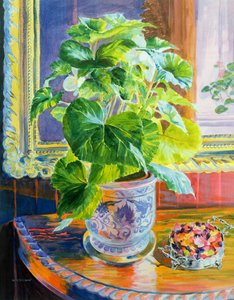 Zum Licht von William Ireland